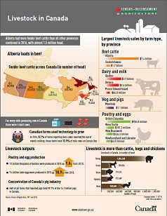 Thumbnail for Infographic 1: Livestock in Canada