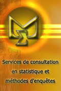 Service de consultation en statistique et méthodes d'enquêtes 