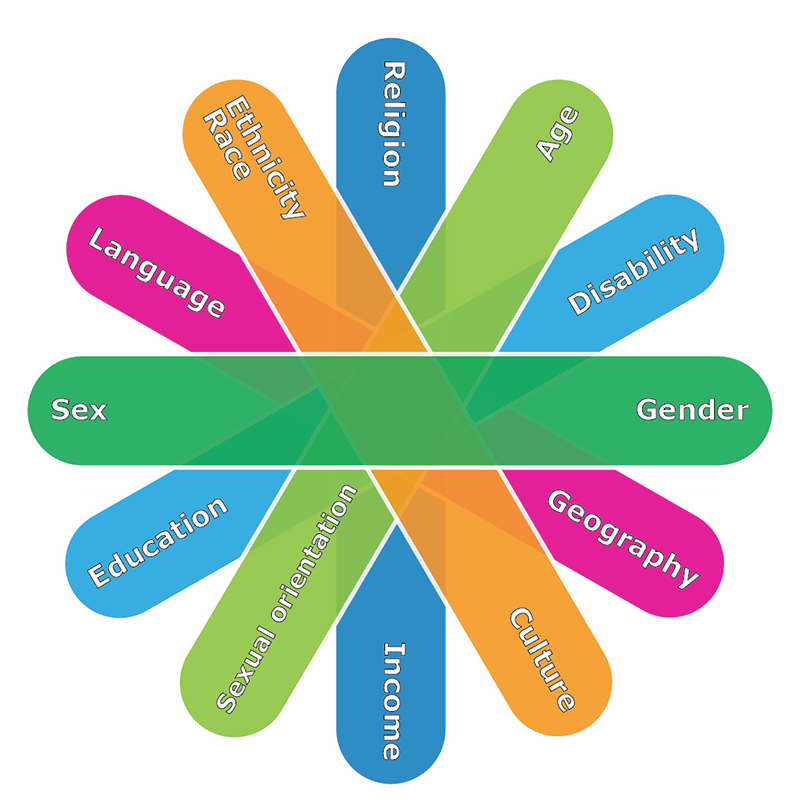 Diversity Wheel