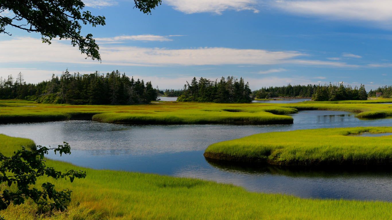 Salt Marshes: A Crucial Ecosystem Component - Statistics Canada