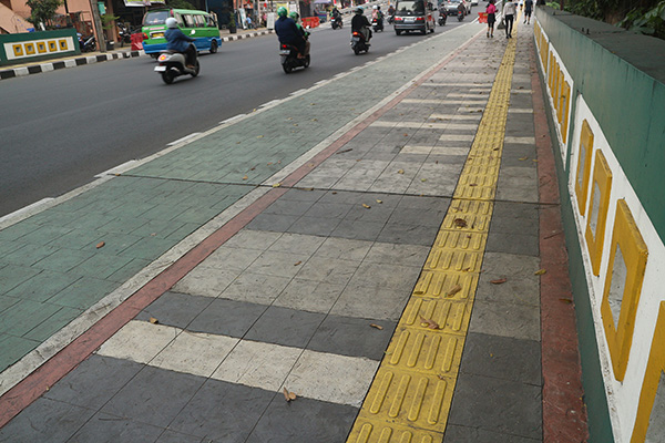 Rapports sur l'incapacité et l’accessibilité au Canada