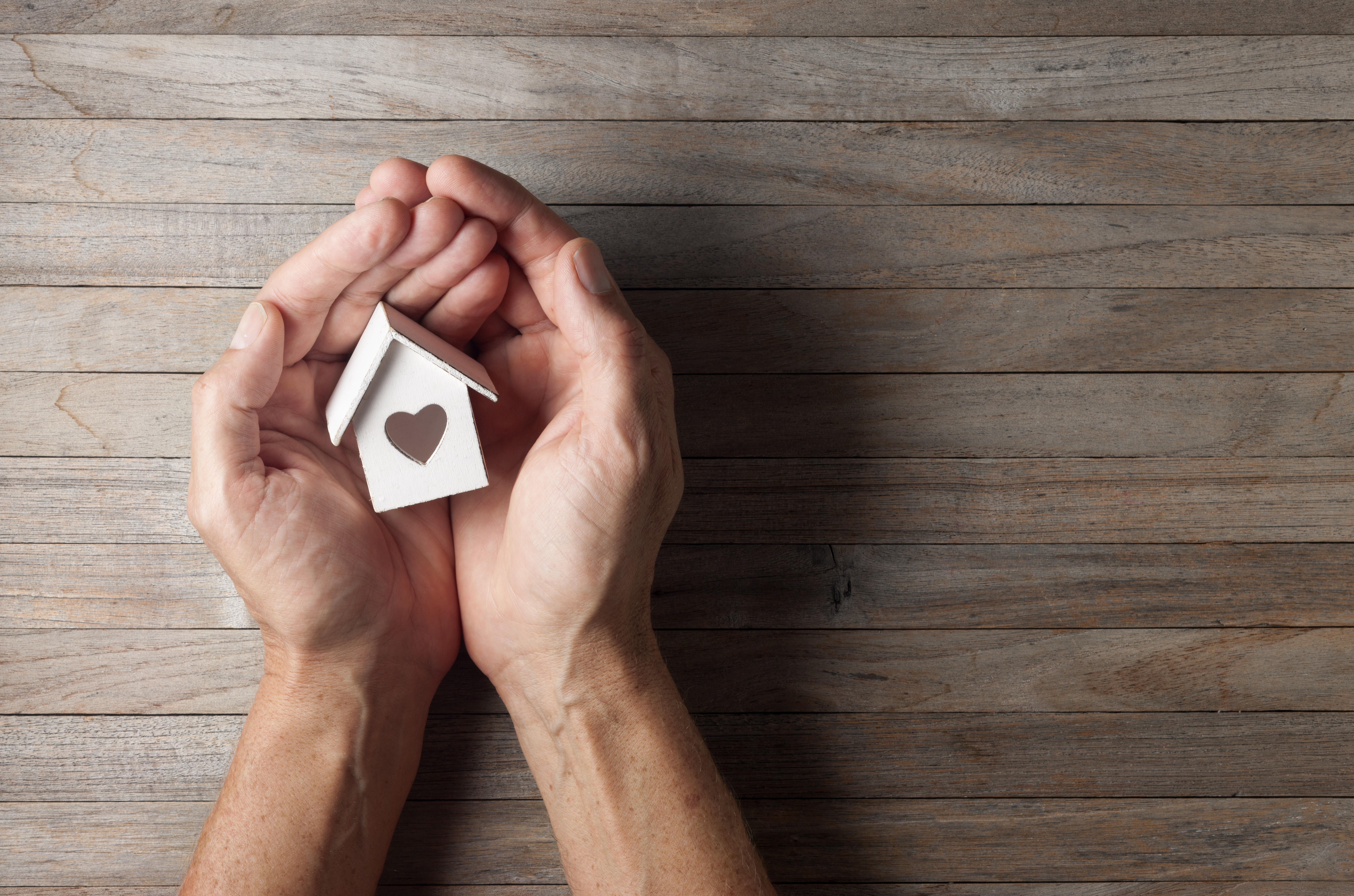 subjects-ied-ipr-82007117-eng