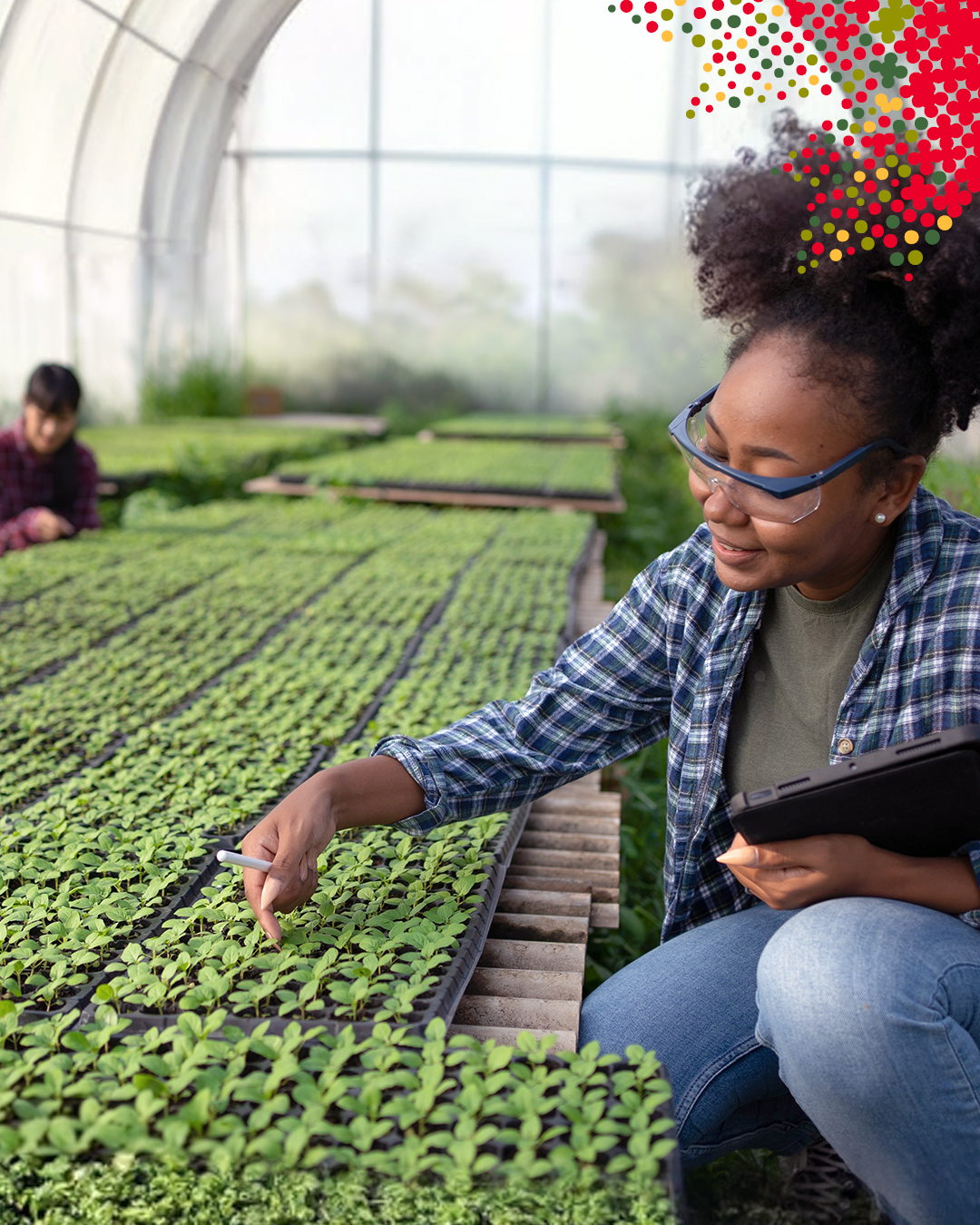 Photo d'une femme examinant des plantes dans une serre.
