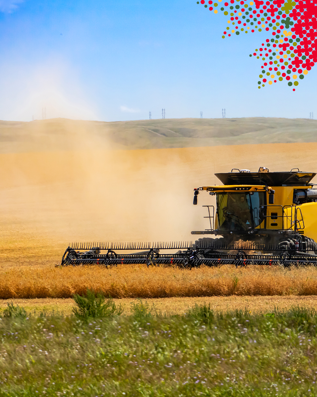 Photo d'une moissonneuse-batteuse dans un champ.
