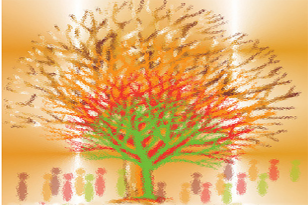 Technical Guide on Demographic Estimates at Statistics Canada