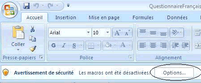 La figure 10a illustre une partie de la barre d'outils Microsoft. Pour ouvrir le questionnaire et activer les macros, cliquez sur le bouton 'Options' affiché dans l'avertissement de sécurité. 