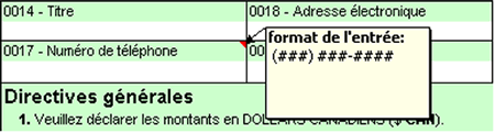 La figure 5 illustre des champs vierges qui peuvent correspondre à des renseignements omis. Lorsque vous amenez le curseur sur ces champs, l'application vous indique les renseignements omis. 