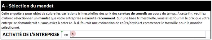 Image de la section A: Sélection du mandat - Activité de l'entreprise 