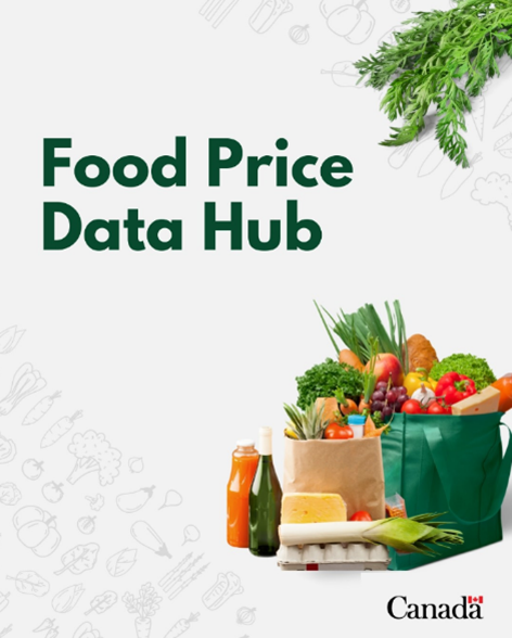 Promotional image for the Food Price Data Hub 