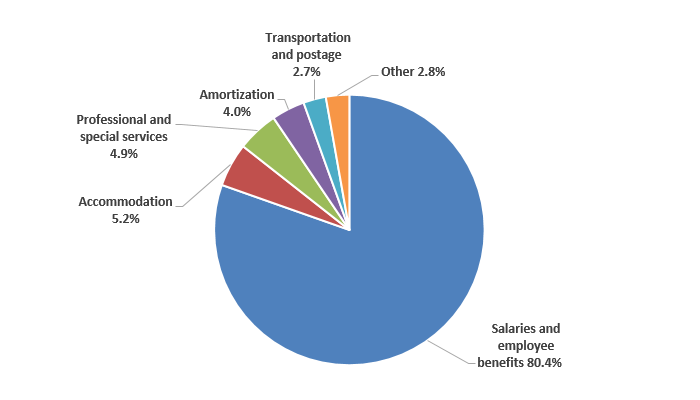 Pie chart: Gross expenditures by type - Described in following paragraph 