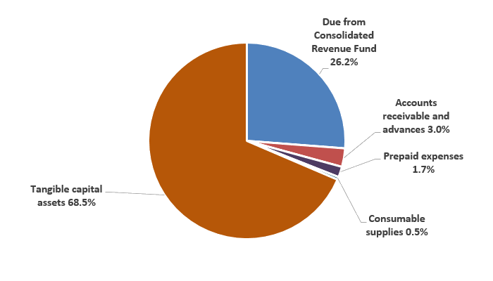 Pie chart: Assets by type - Described in following paragraph 