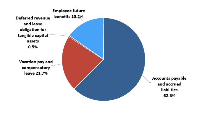 Pie chart: Liabilities by type - Described in following paragraph 