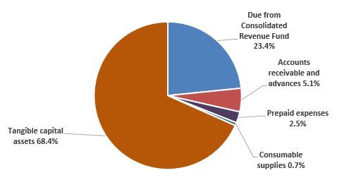 Pie chart: Assets by type - Described in following paragraph 