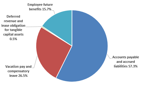 Pie chart: Liabilities by type - Described in following paragraph 