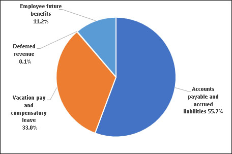 Liabilities by type 