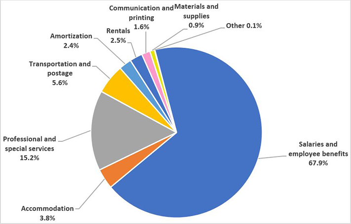 Gross expenditures by type - Described in following paragraph 