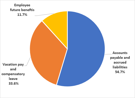 Liabilities by type - Described in following paragraph 