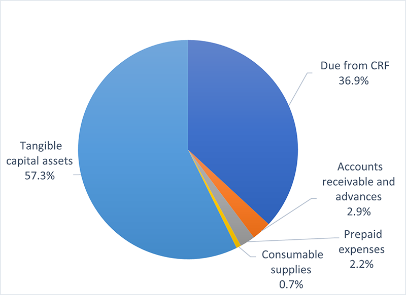 Graph 4: Assets by type. Text description follows. 