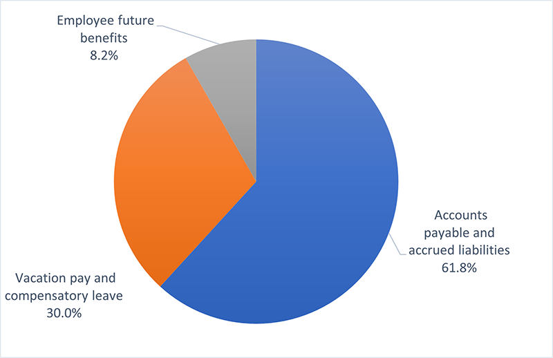 Graph 4: Liabilities by type. Text description follows. 