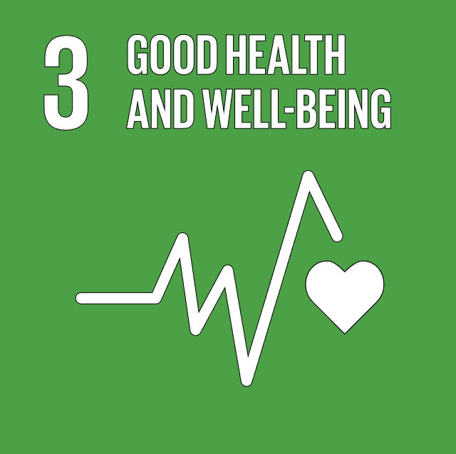 Goal 3: Support Mental Health and Adopt Healthy Behaviour 