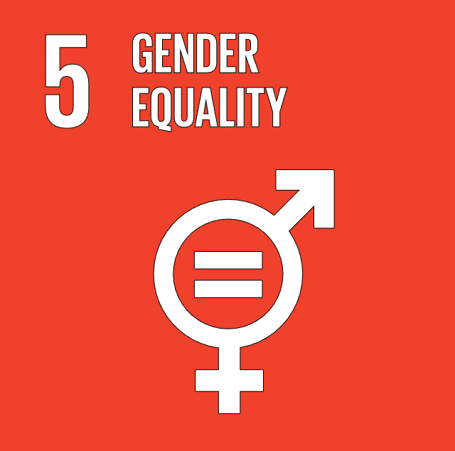 Goal 5: Champion Gender Equality 