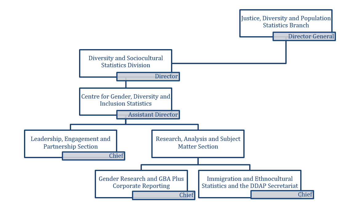 The figure 1 depicts the structure of the Centre for Gender, Diversity and Inclusion Statistics (CGDIS) at the time of the evaluation. 