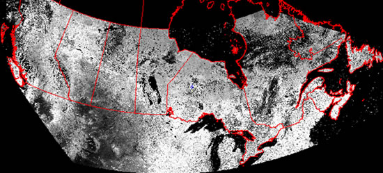 Image entière brute reprojetée de l’ IVDN de MODIS, semaine julienne 34, 2009 