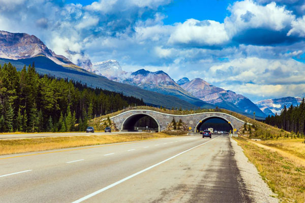 Merge into these data: the numbers on Canada’s roads and road trips 