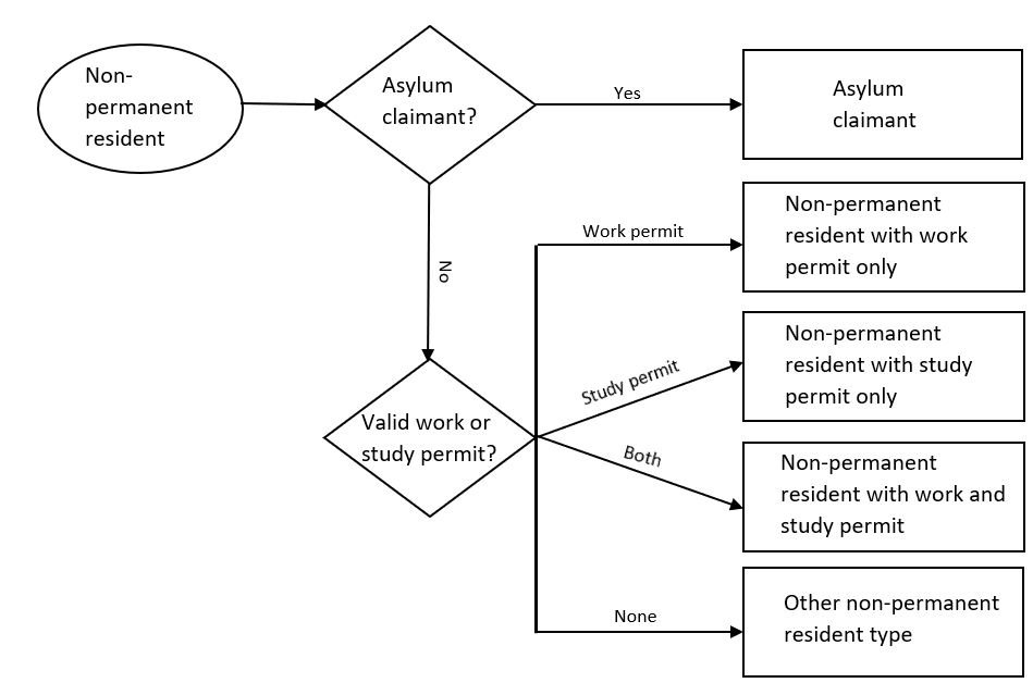Figure 1: Decision tree for the derivation of non-permanent resident type