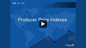 Statistics Canada Training Institute - Producer price indexes 